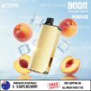 ALIBARBAR Ingot 9000 Puffs Peach Ice