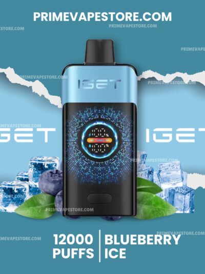 IGET One 12000 Puffs Blueberry Ice
