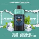 Iget One 12000 Puffs Mountainspring Mint Ice