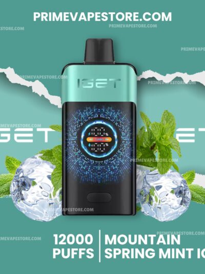 Iget One 12000 Puffs Mountainspring Mint Ice