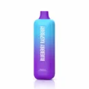 WOTOFO NEXBAR 7000 Puffs Blueberry Raspberry